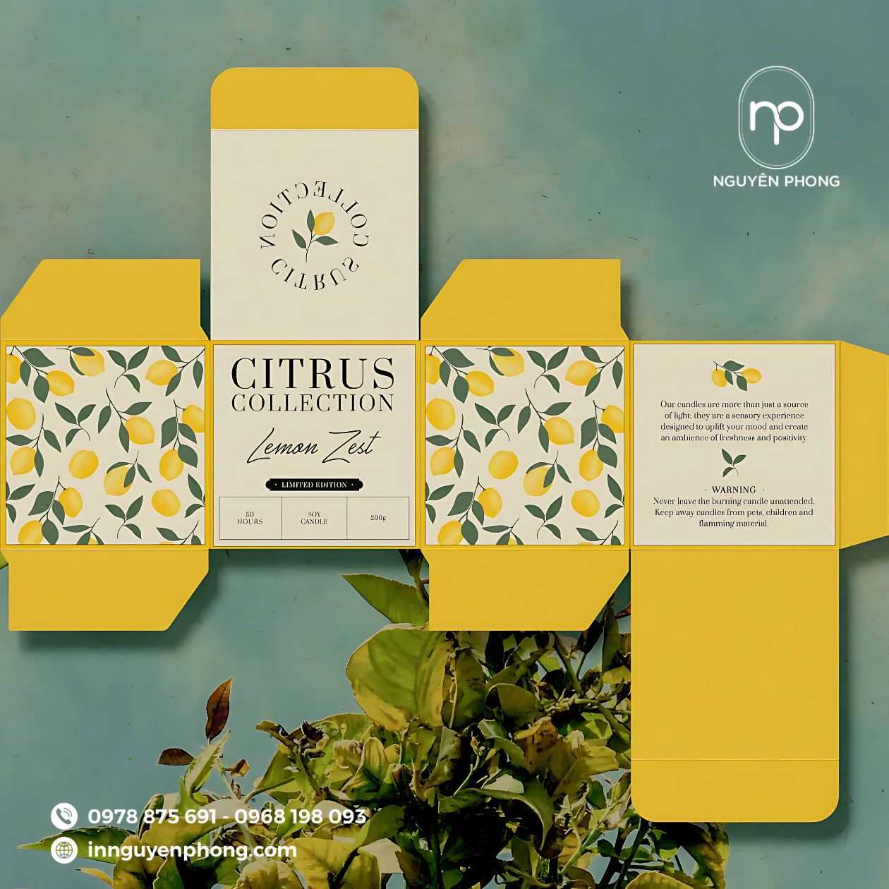 phần mềm thiết kế bao bì giấy/tem nhãn/túi giấy/hộp giấy